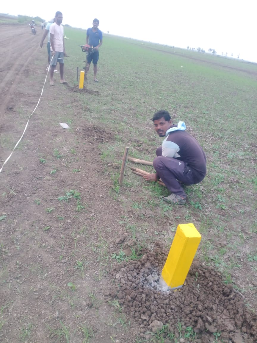 High-yield organic crop layouts and cultivation